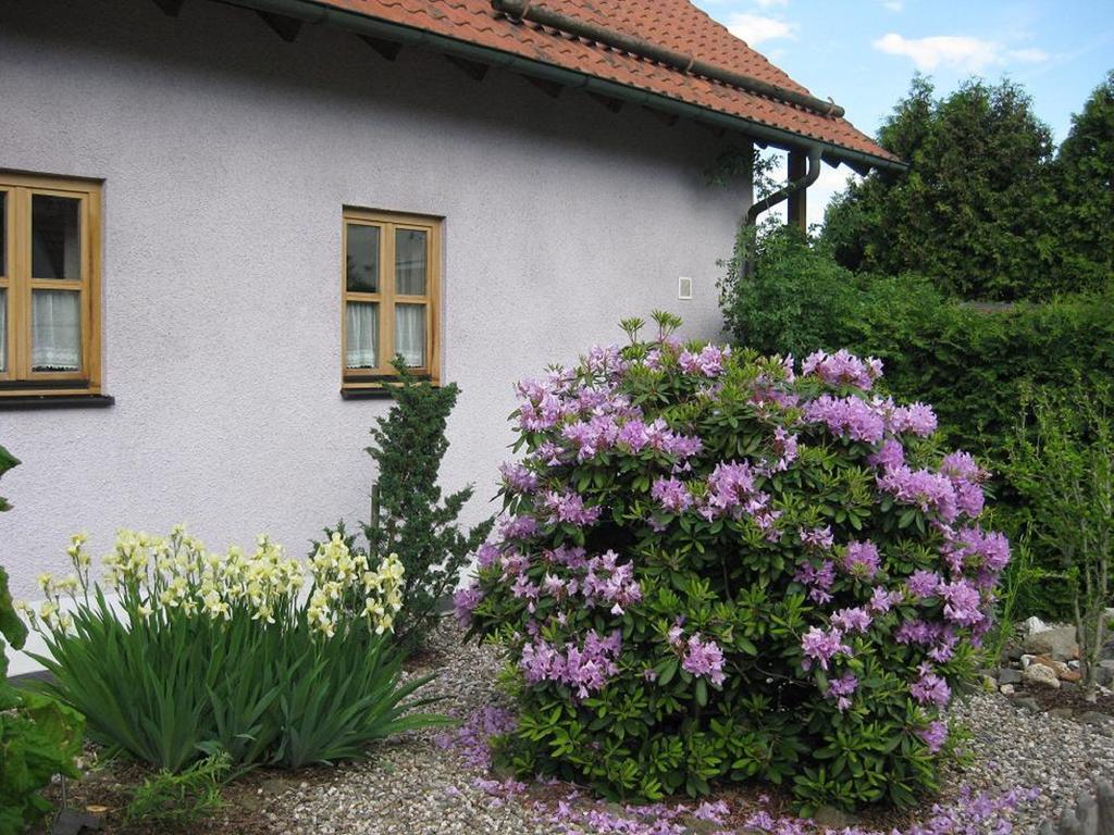Ferienwohnung Spitzner Stornstein 외부 사진